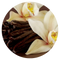 Vainilla