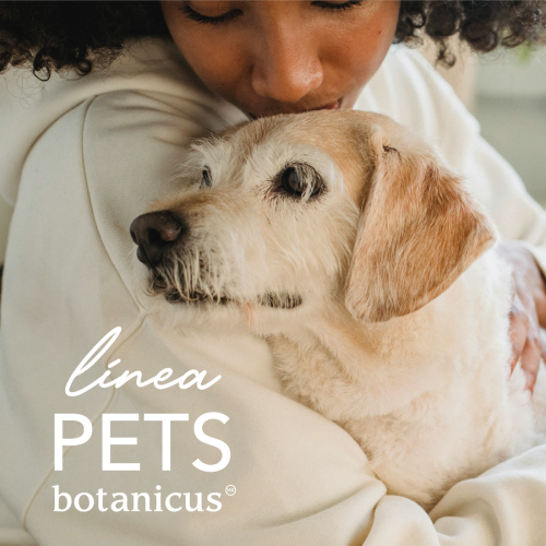 Linea_Pets